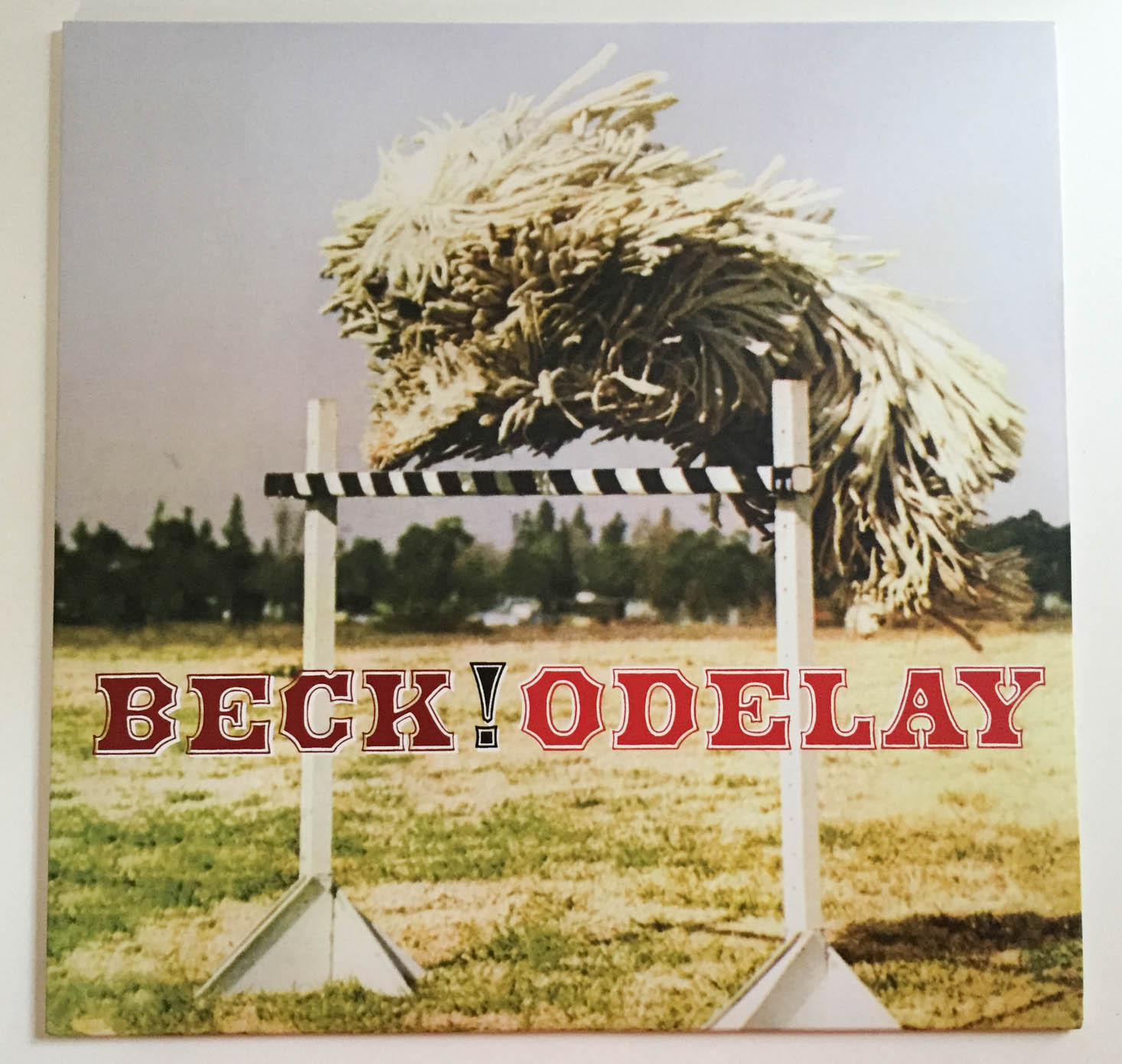 vinyl-me-please-october-2016-odelay