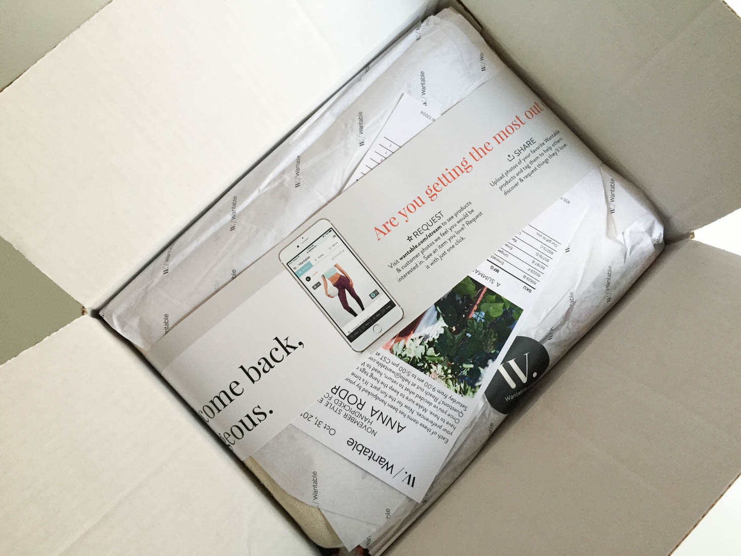 wantable-style-edit-november-2016-box-inside