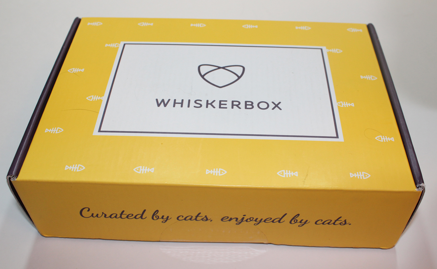 whiskerbox-november-2016-box