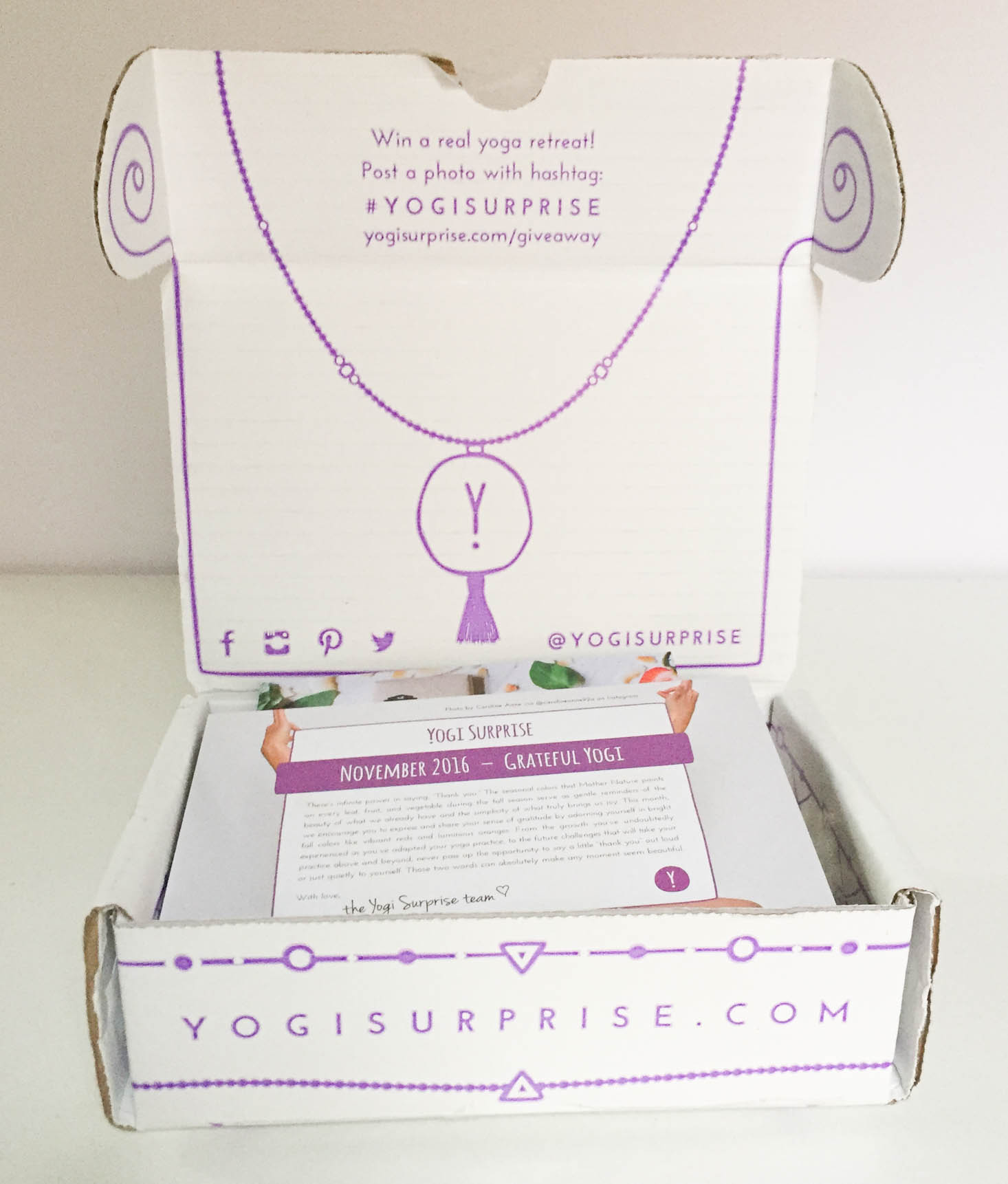 yogi-surprise-jewelry-november-2016-box-inside