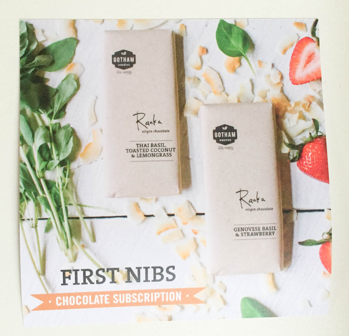 yogi-surprise-jewelry-november-2016-coupon