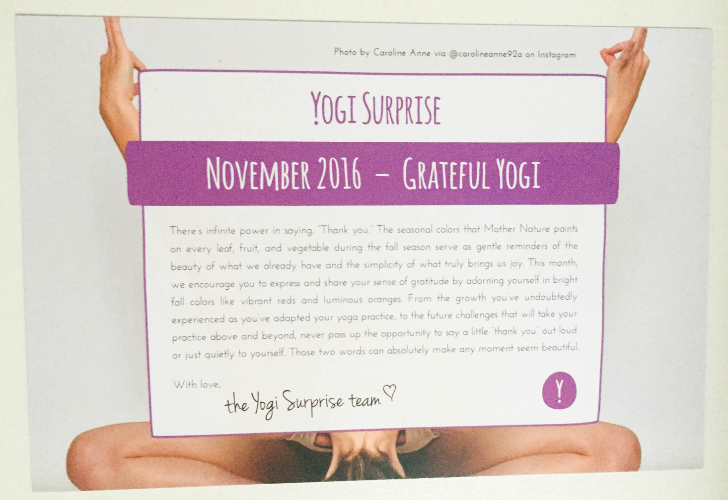 yogi-surprise-jewelry-november-2016-theme