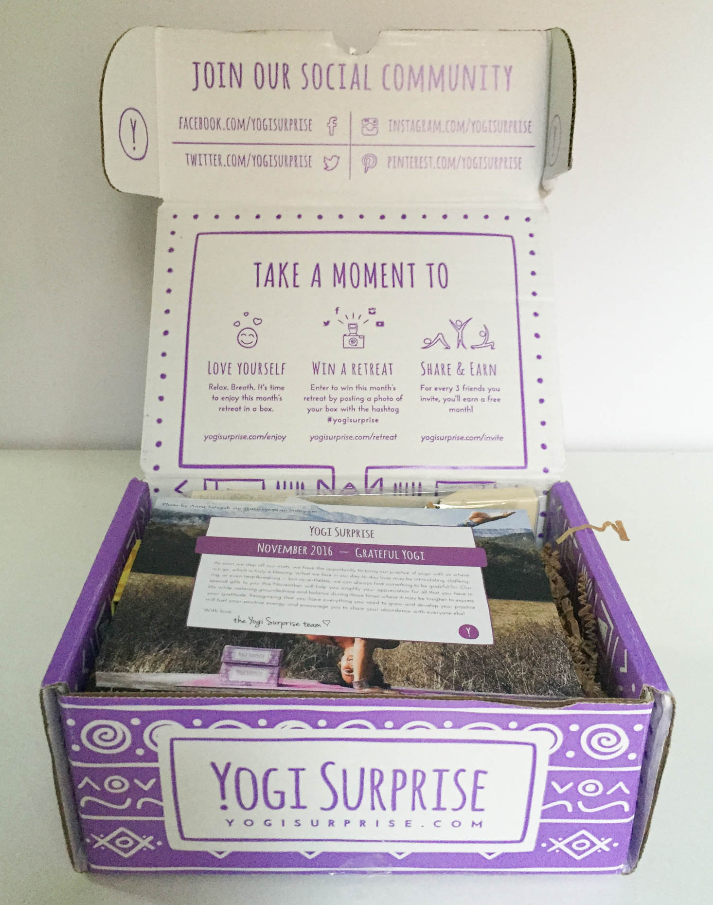 yogi-surprise-november-2016-box-inside