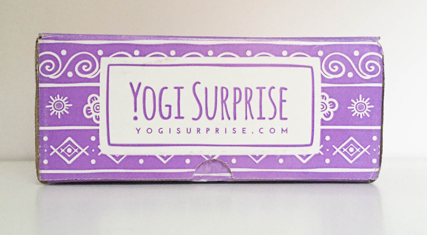 yogi-surprise-november-2016-box