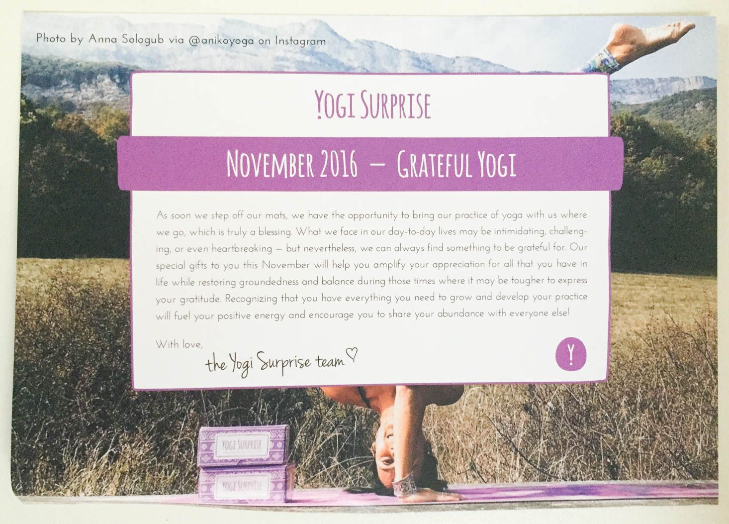 yogi-surprise-november-2016-theme