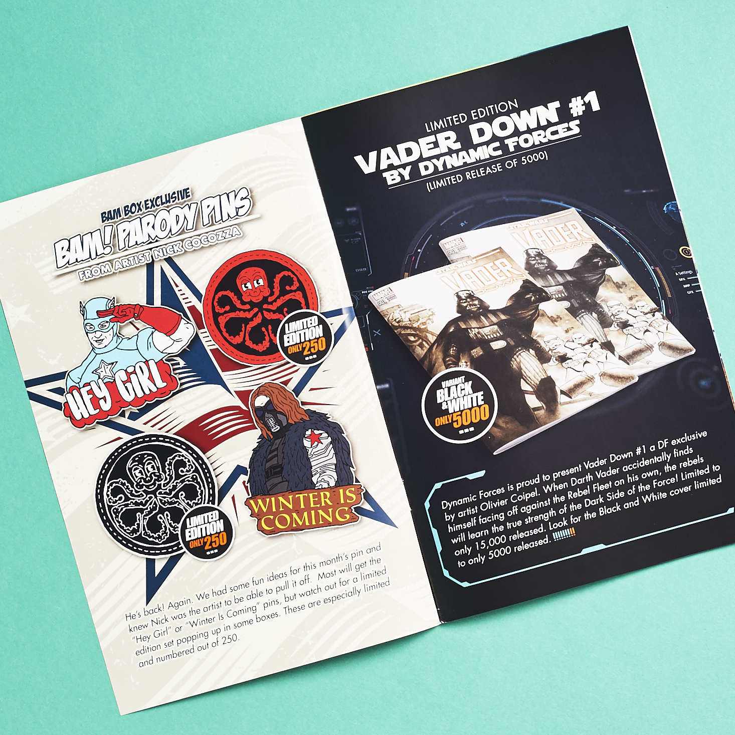 bam-box-december-2016-0010