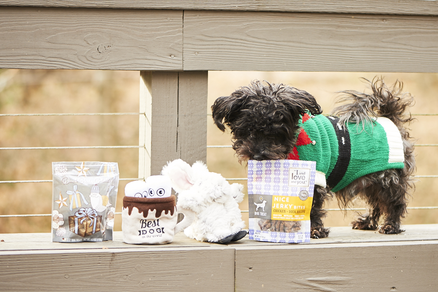 barkbox-december-2016-0026