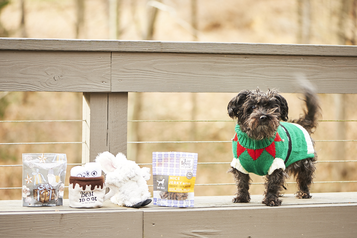 barkbox-december-2016-0029