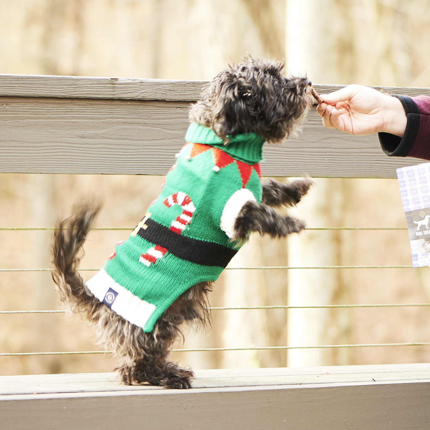 barkbox-december-2016-0030