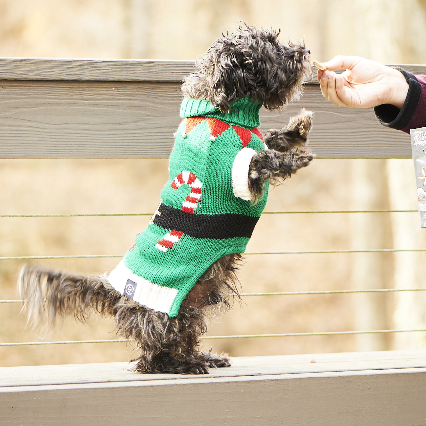 barkbox-december-2016-0031