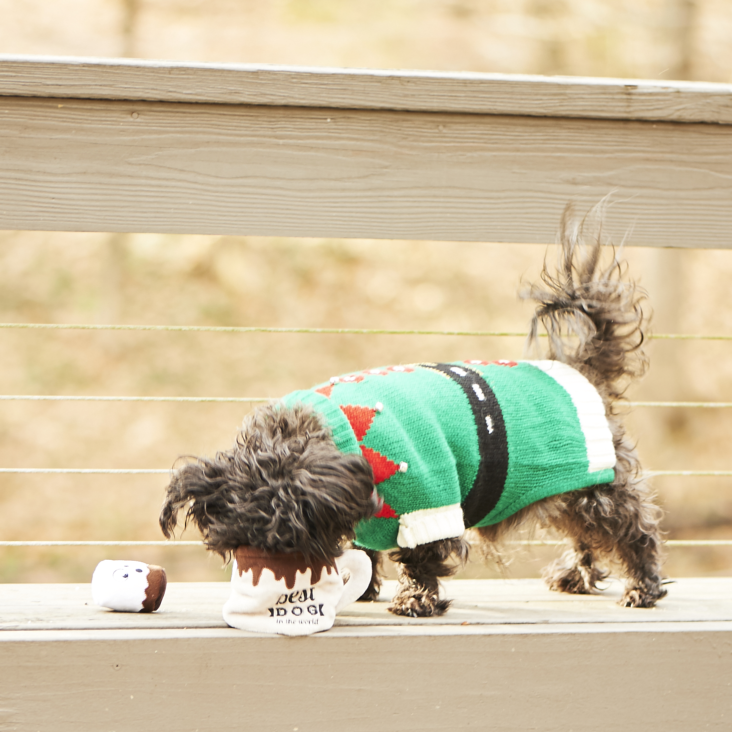 barkbox-december-2016-0032