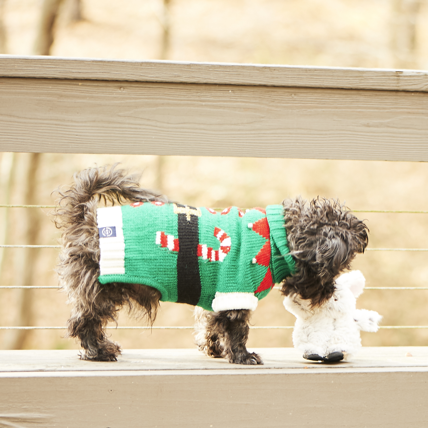 barkbox-december-2016-0033