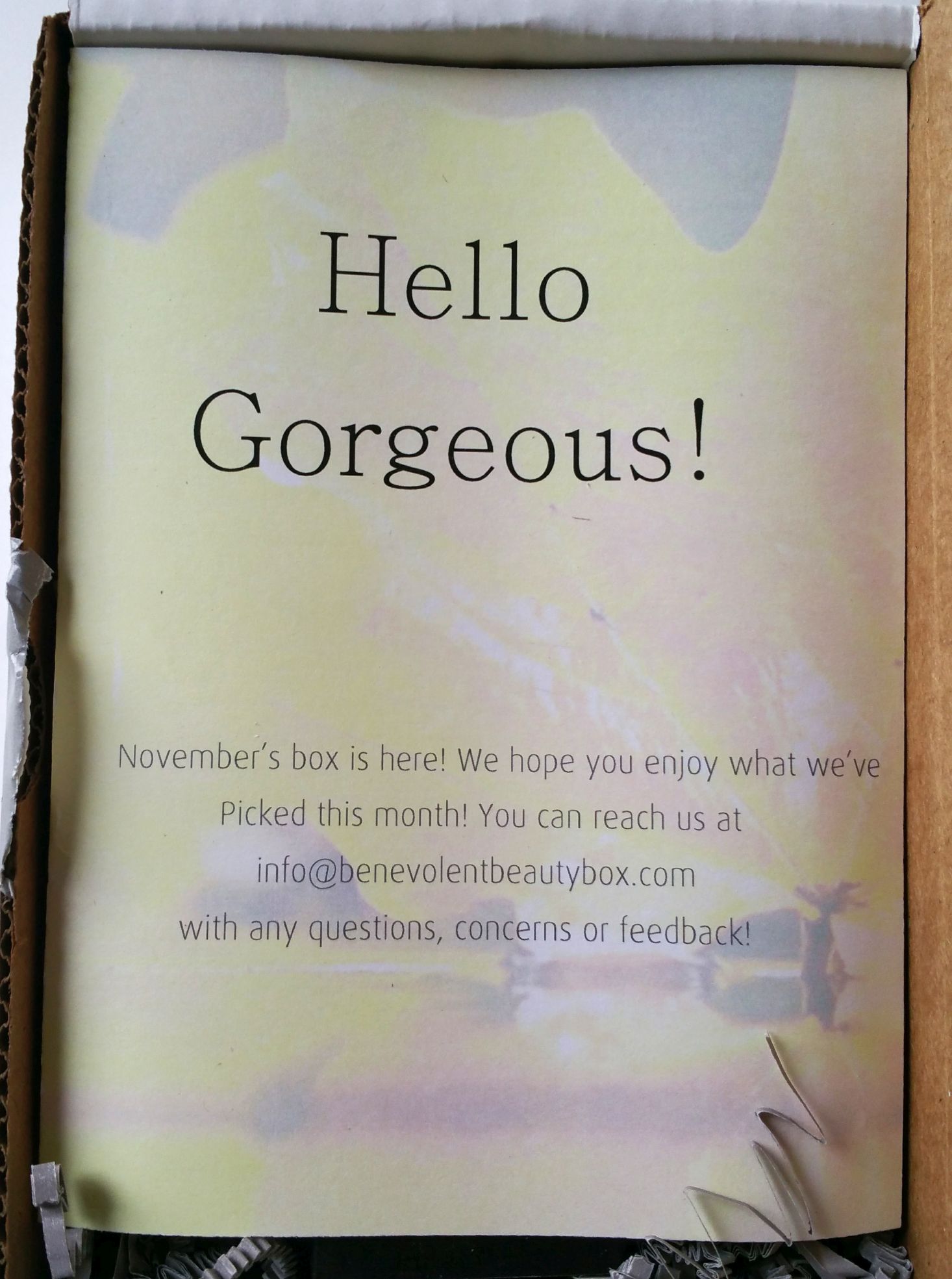 benevolent-beautynovember-2016-info