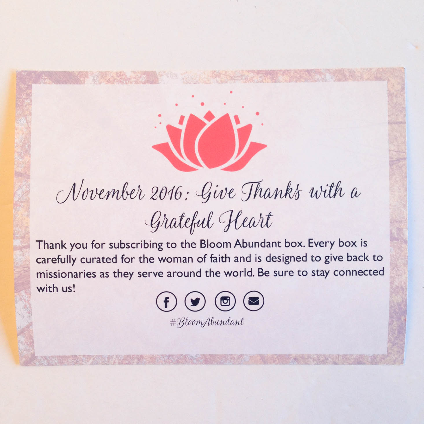 bloom-abundant-mini-november-2016-booklet