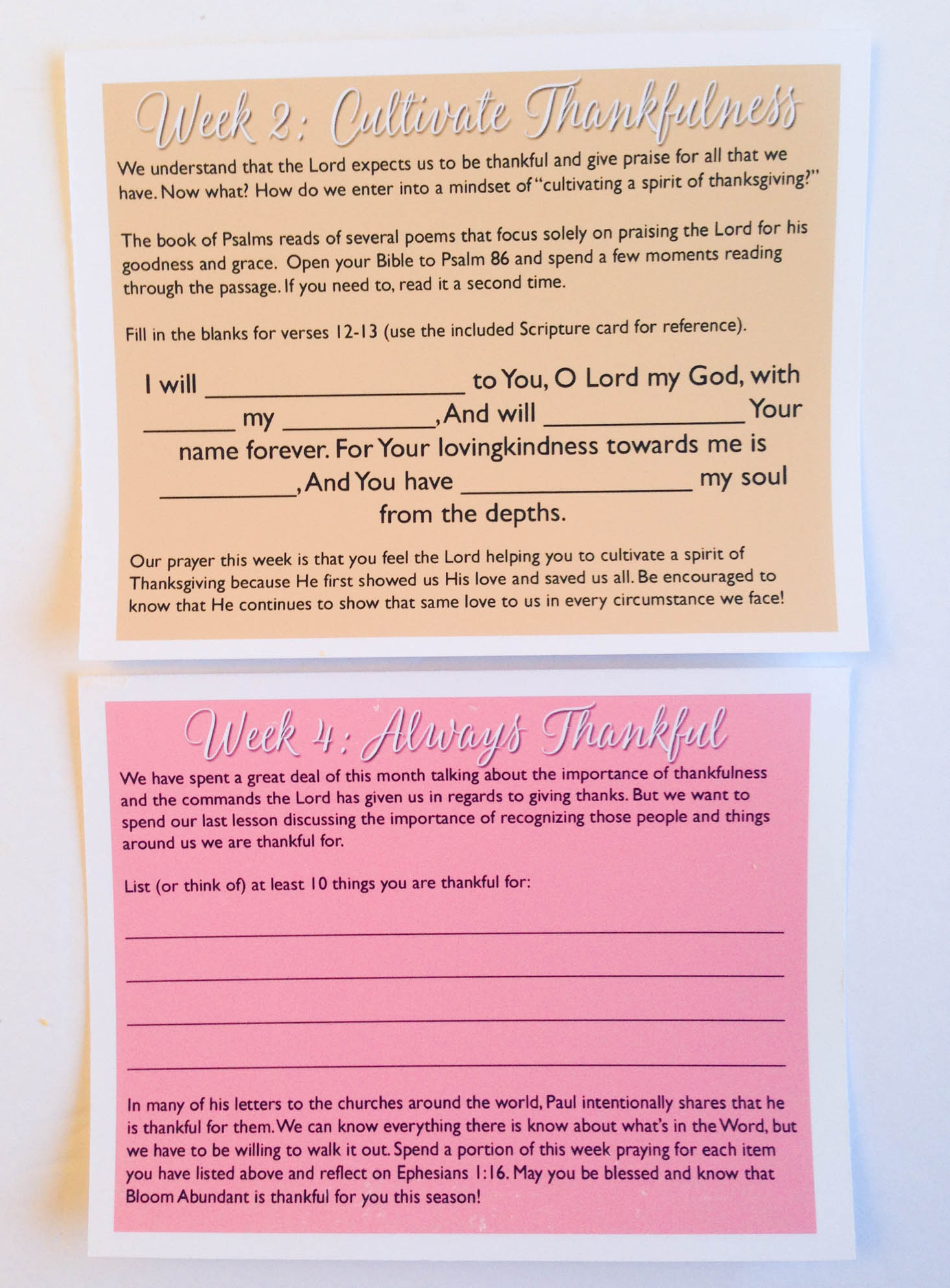bloom-abundant-mini-november-2016-devotionals-2