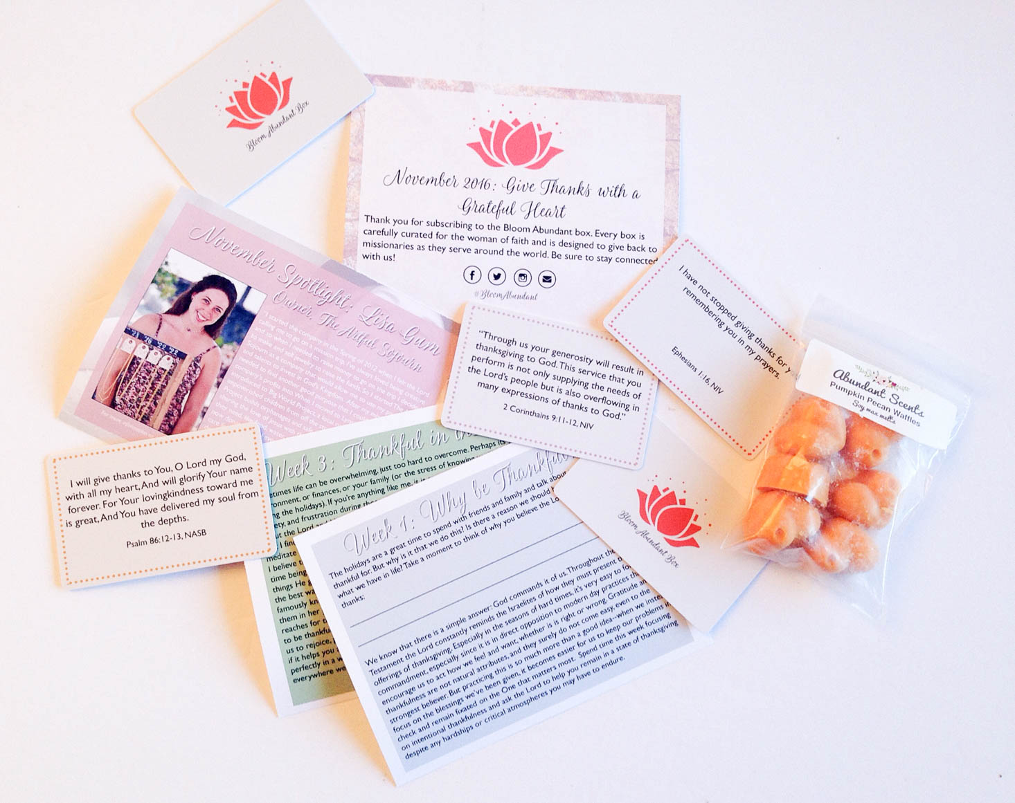 bloom-abundant-mini-november-2016-review