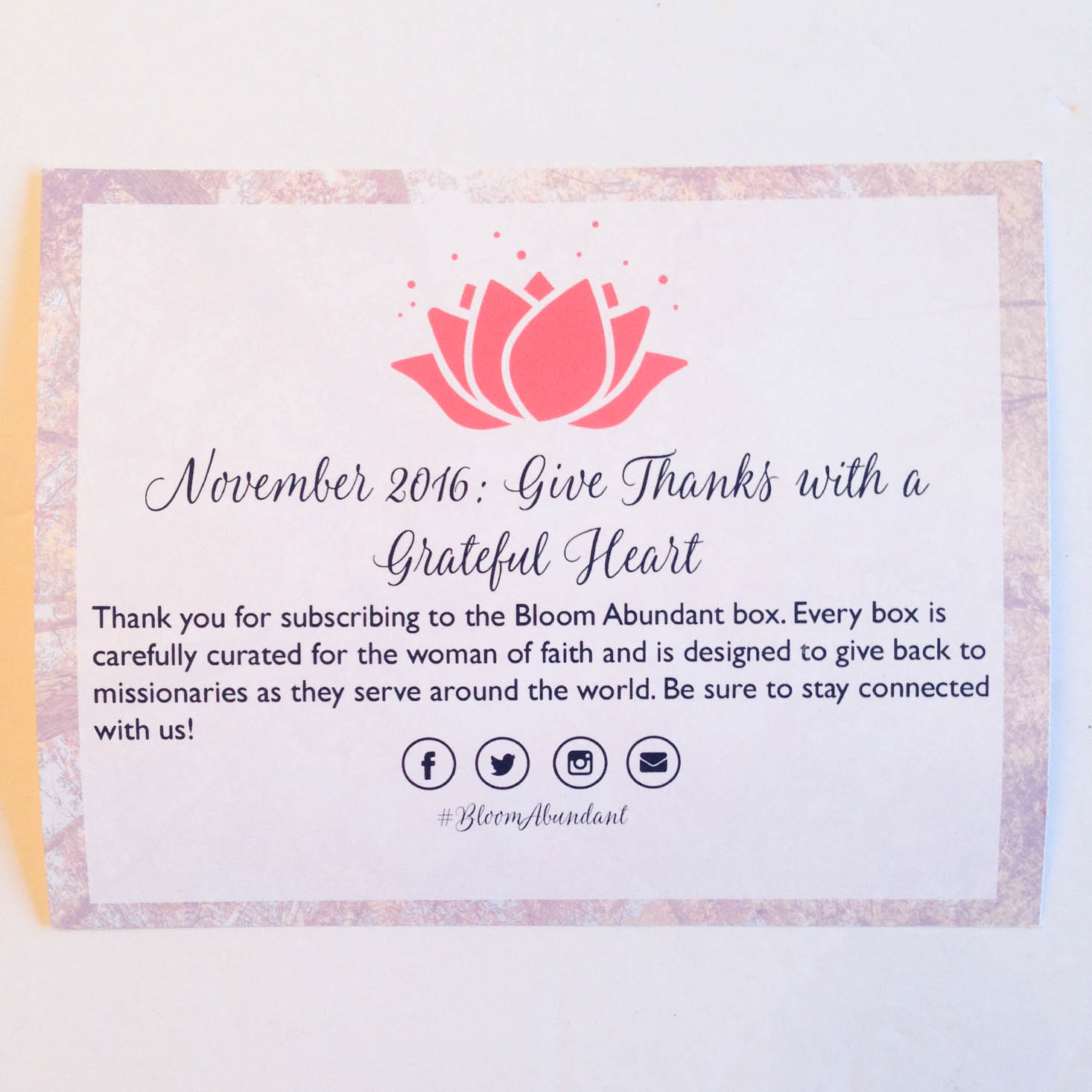 bloom-abundant-november-2016-booklet
