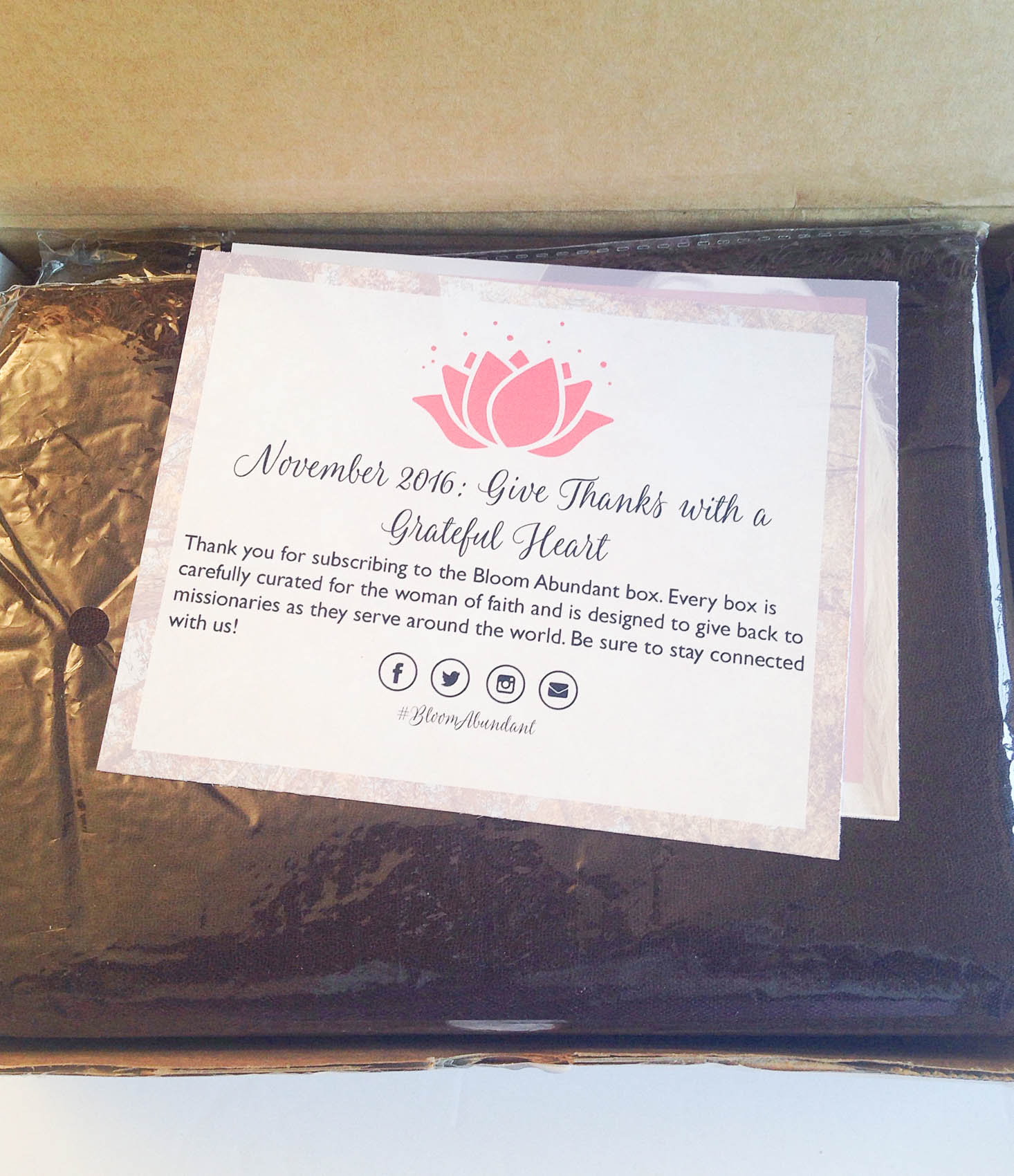 bloom-abundant-november-2016-inside-box