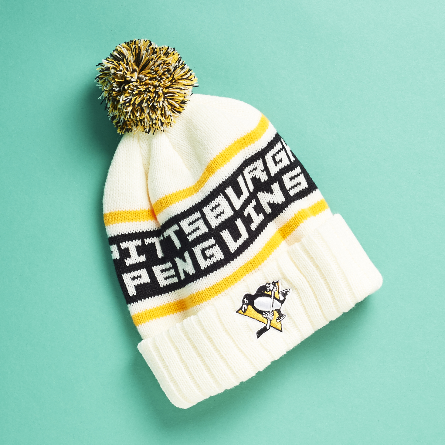 fanchest-penguins-december-2016-0015