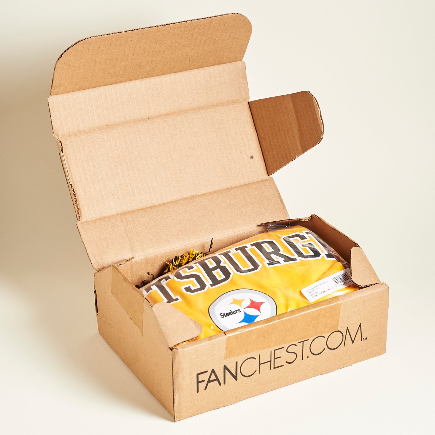 fanchest-steelers-december-2016-0002