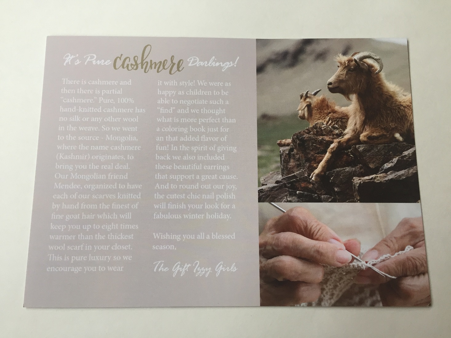 gift-izzy-december-2016-booklet2