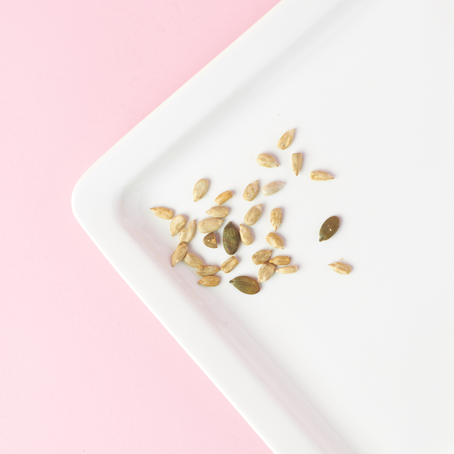 graze-december-2016-0010