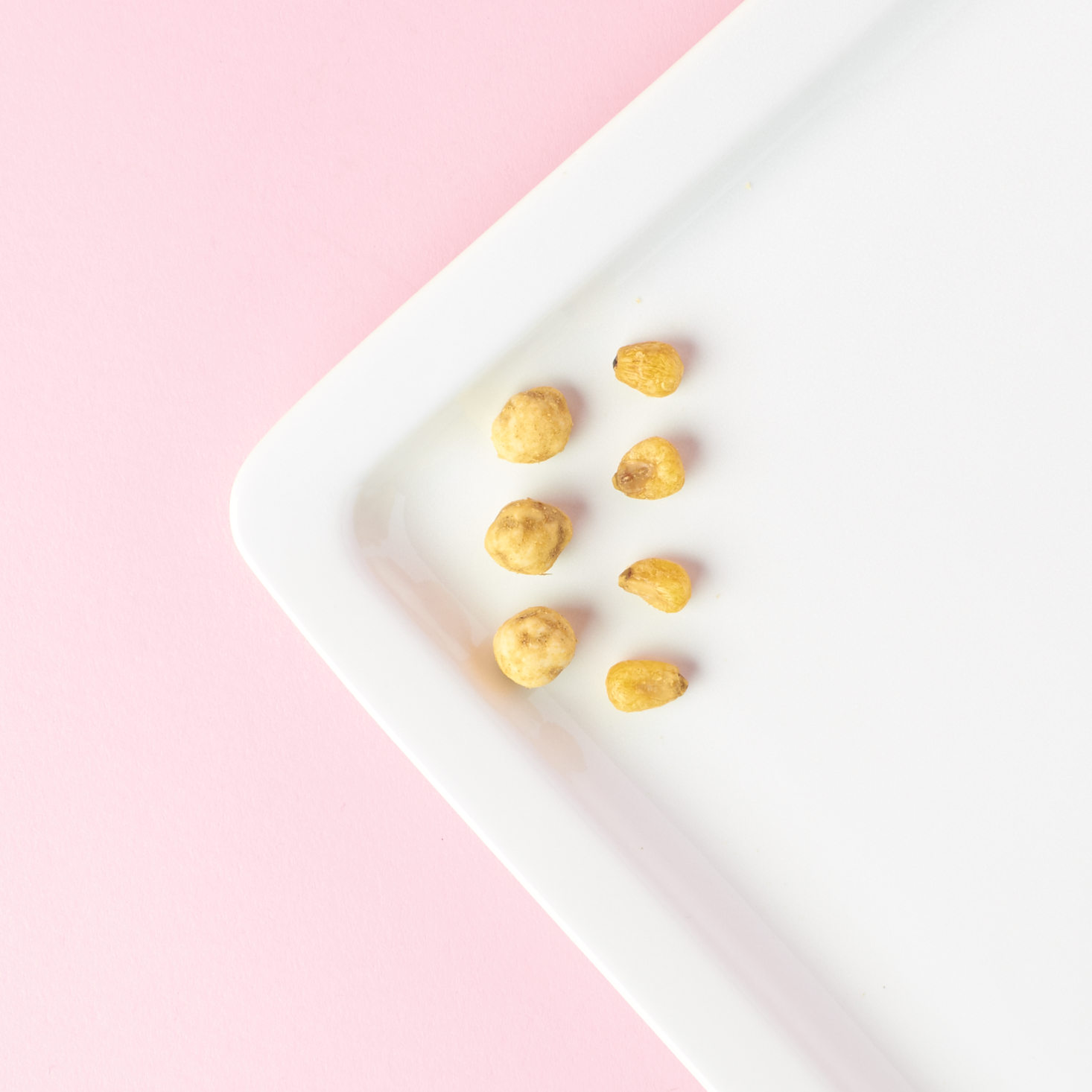 graze-december-2016-0020