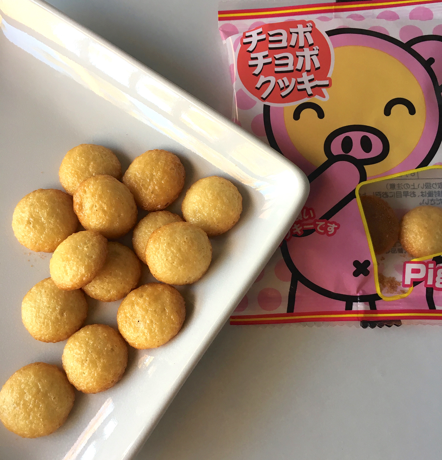japan-crate-november-2016-chobo-chobo-cookies-closeup