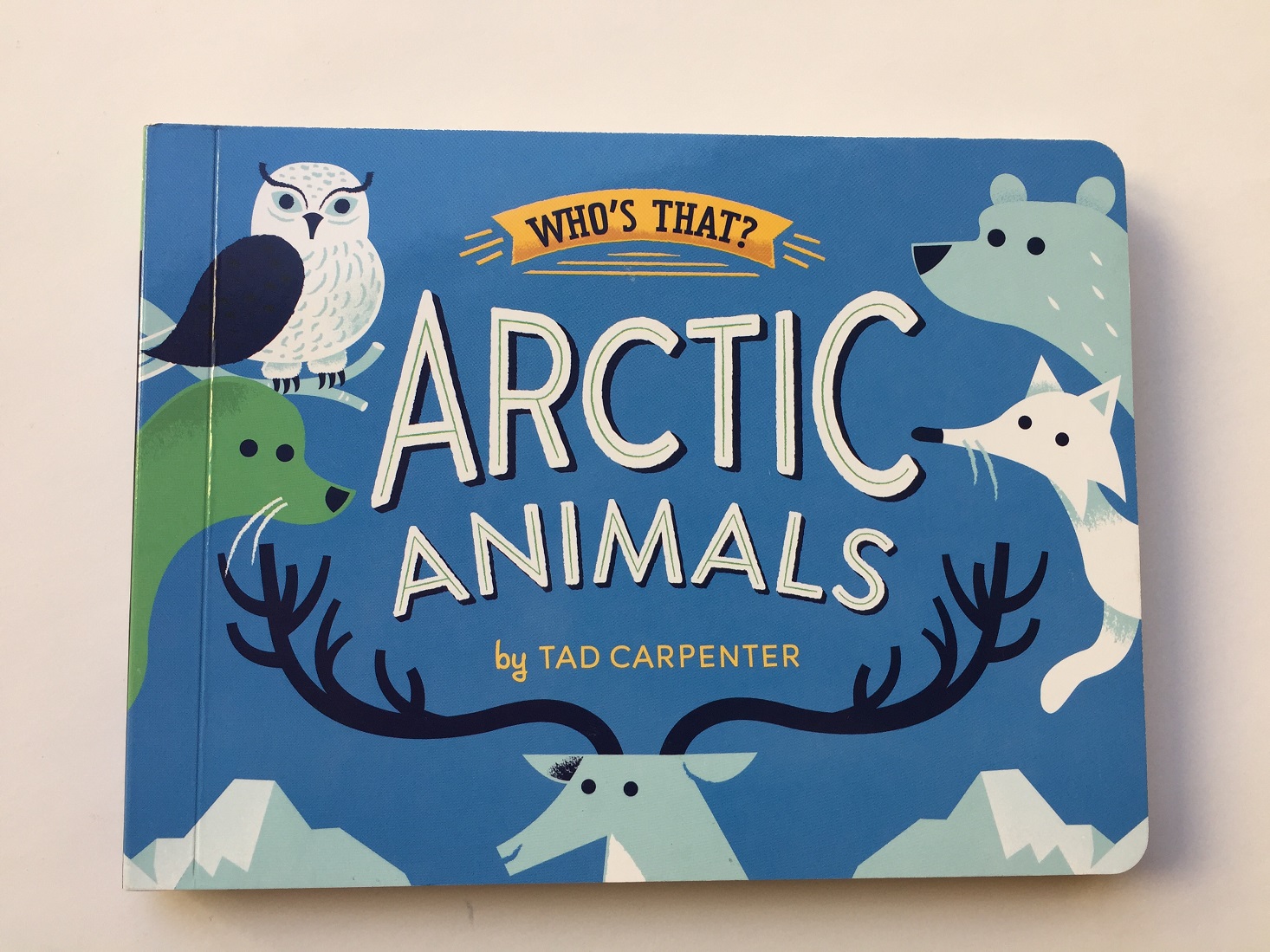 lillypost-board-december-2016-arctic