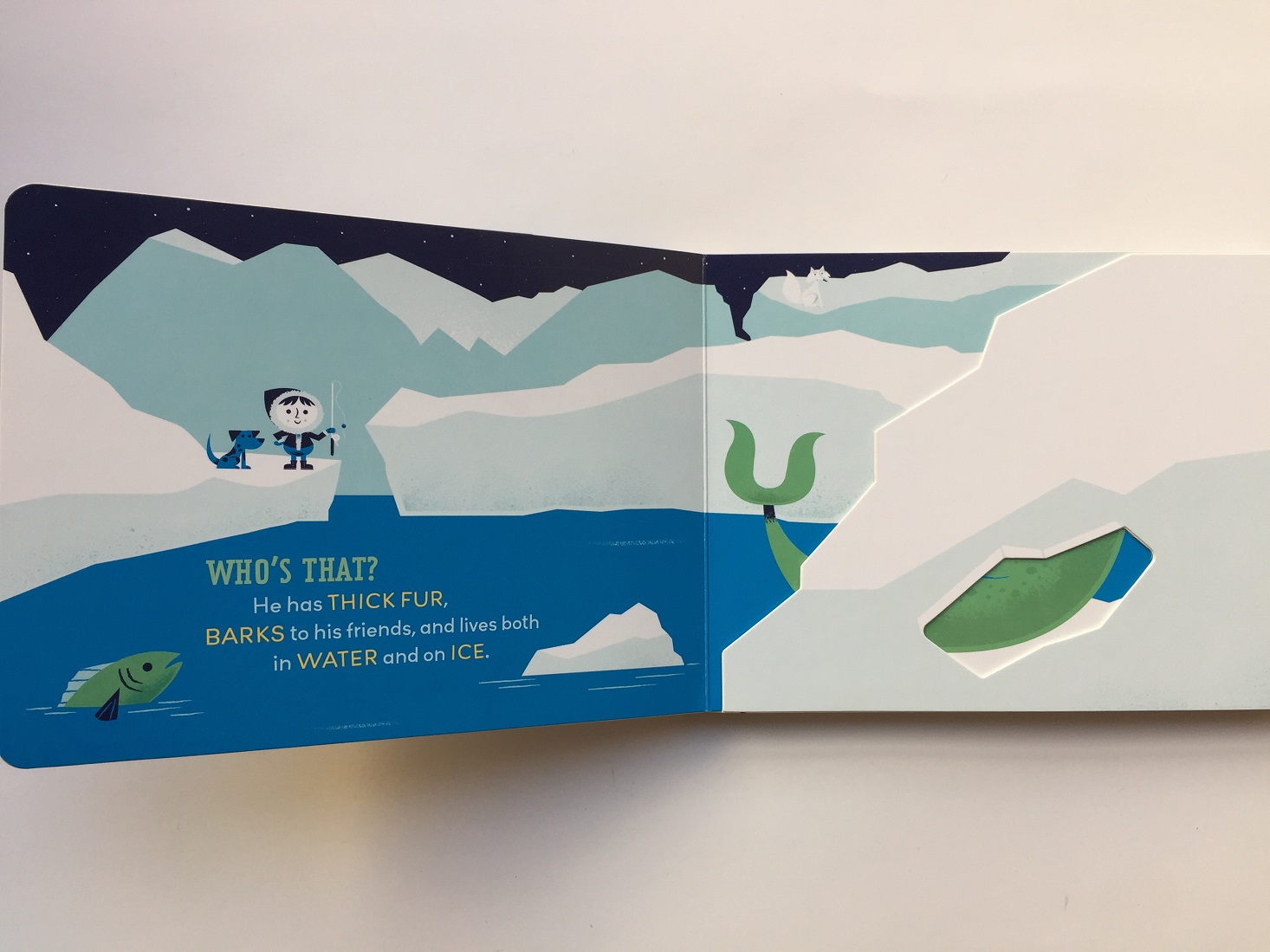 lillypost-board-december-2016-arctic2