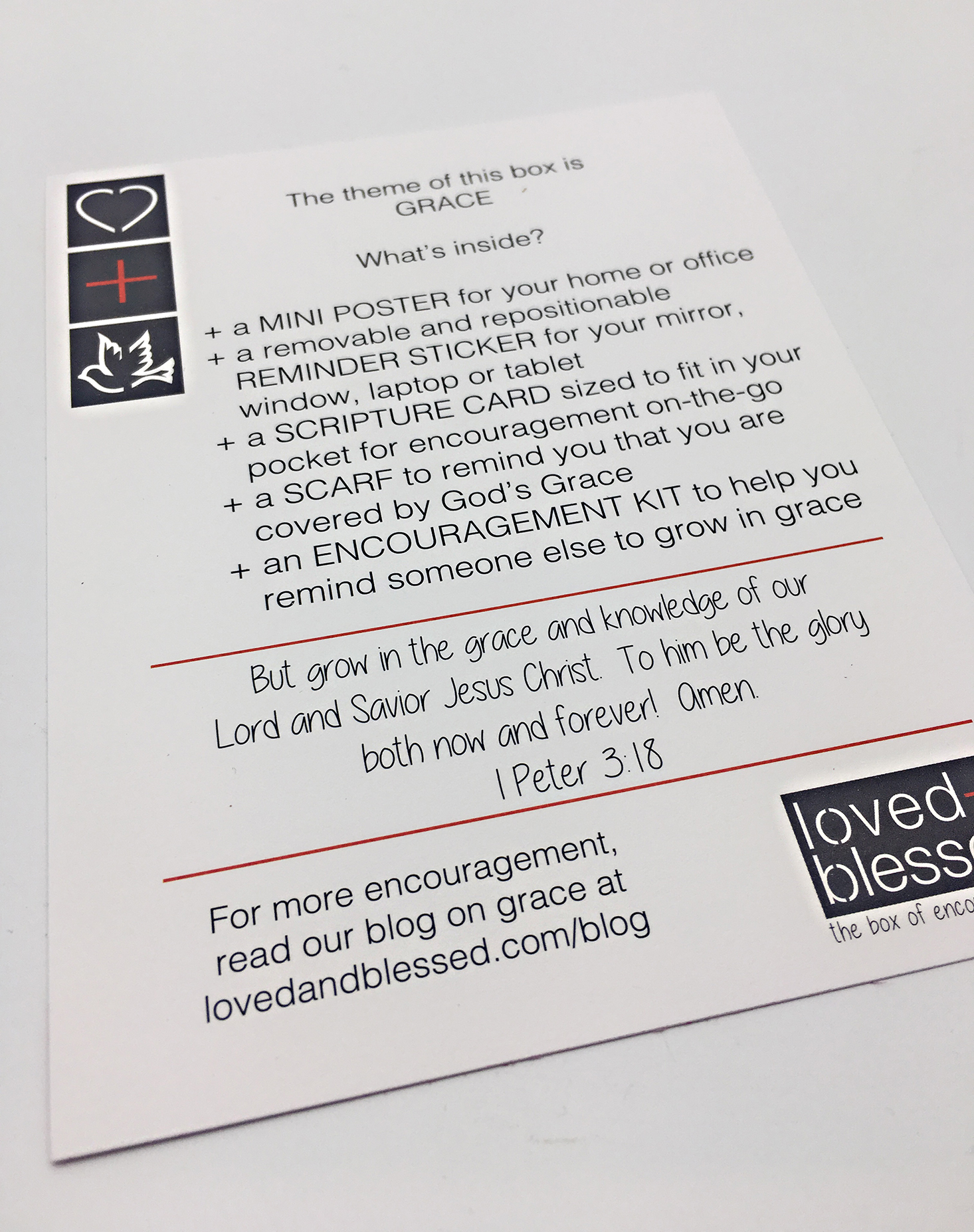 loved-blessed-november-2016-info-card