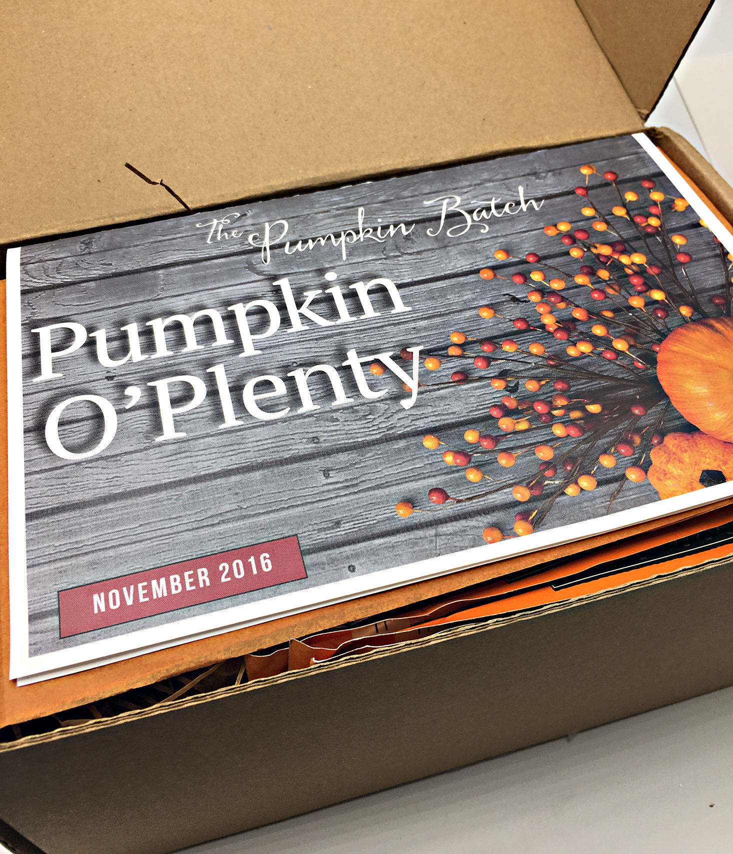 pumpkin-batch-november-2016-first-look