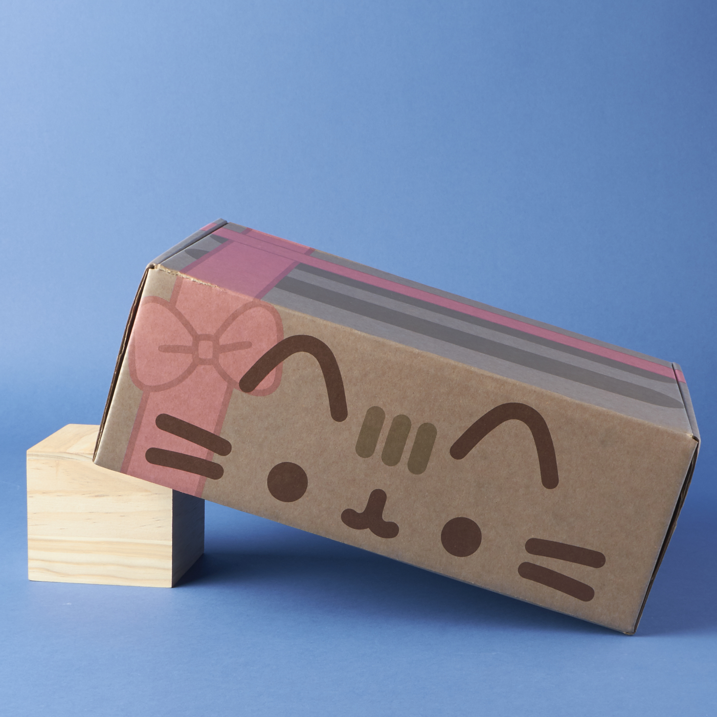 pusheen-box-winter-2016-0001