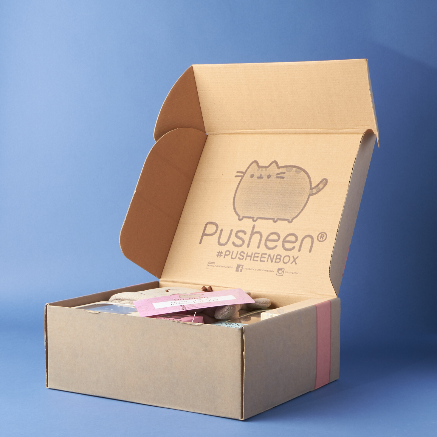 Pusheen Box Winter 2016 Subscription Box Review