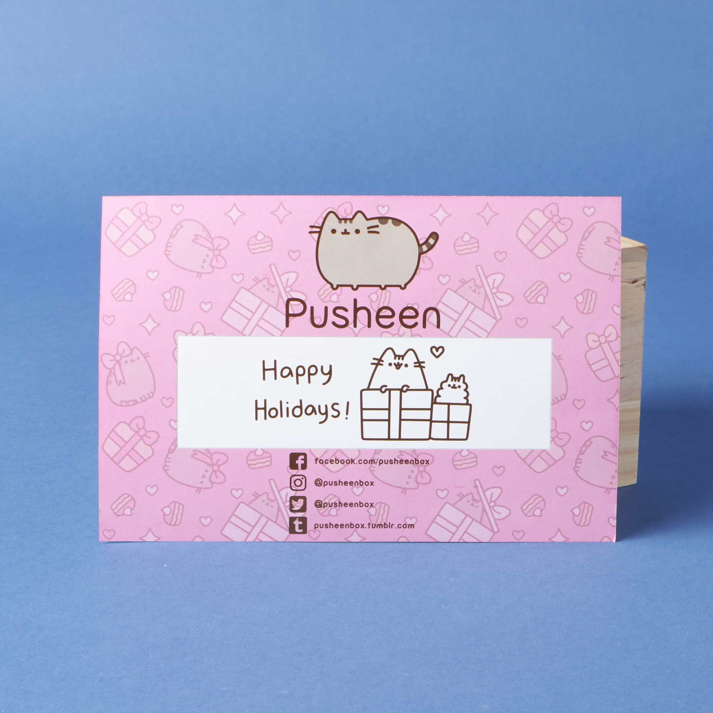 pusheen-box-winter-2016-0006