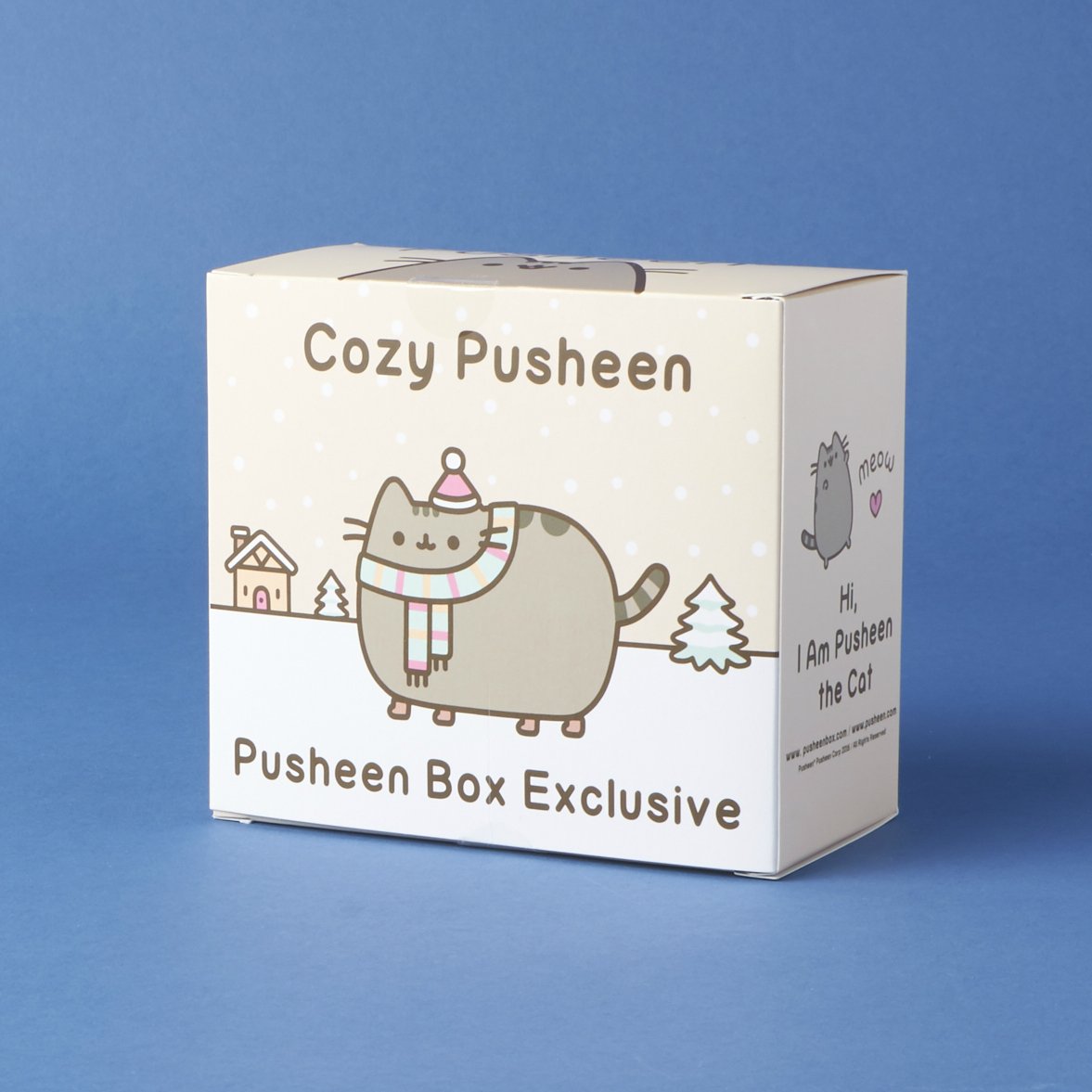 pusheen-box-winter-2016-0019