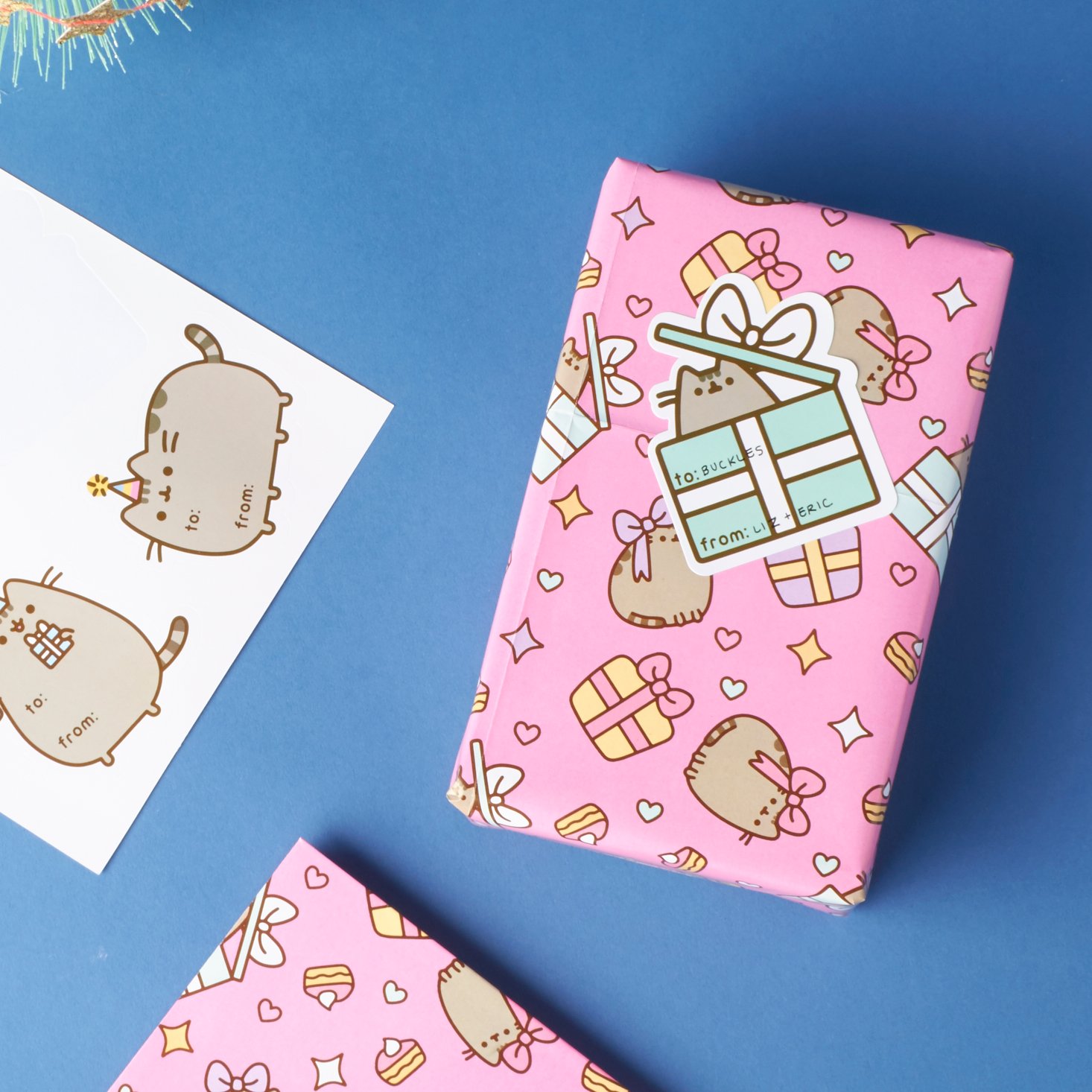 pusheen-box-winter-2016-0055