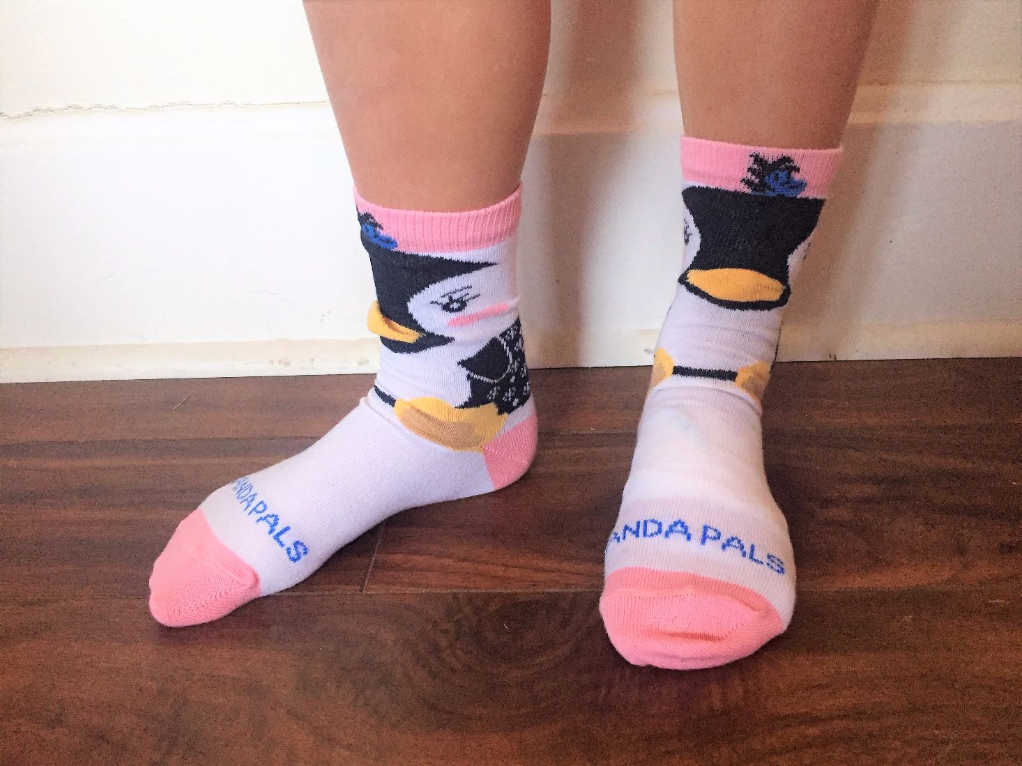 sockpanda-december-2016-09socks-jpg