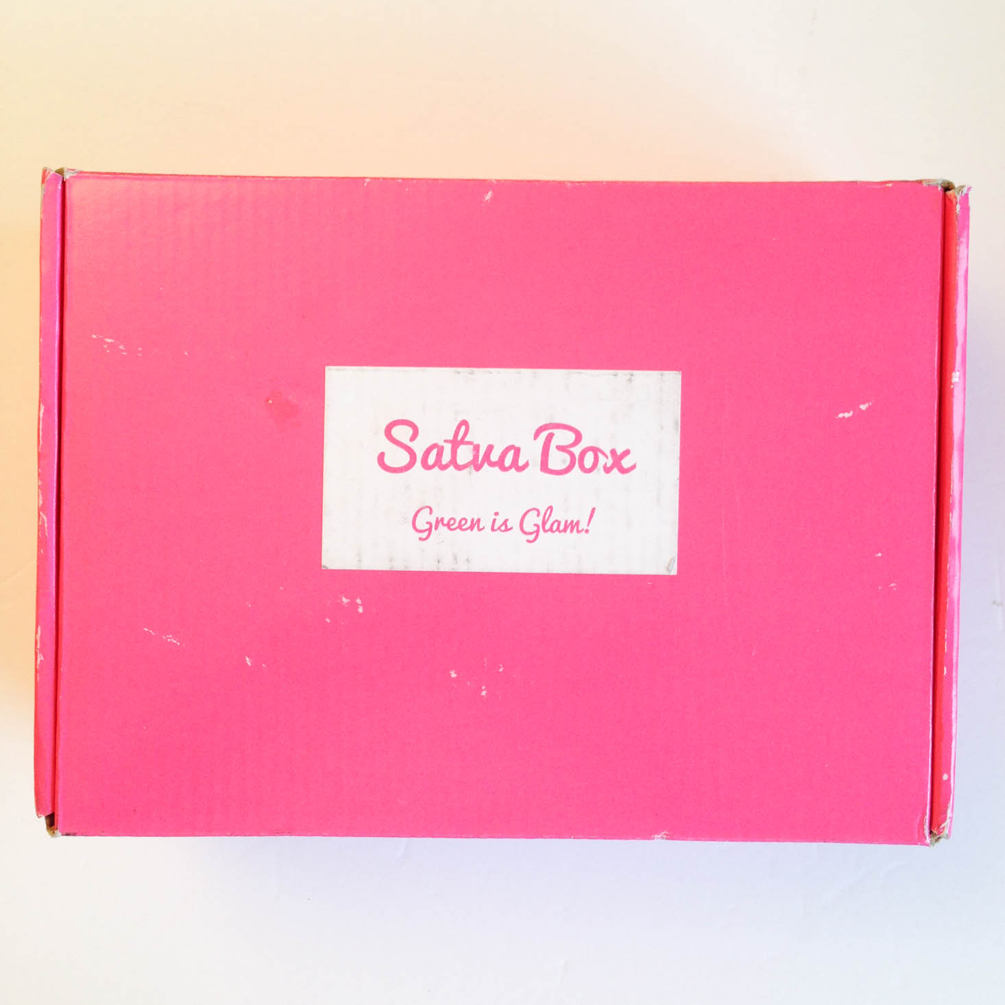 Satva Natural Beauty Box Review + Coupon – November 2016