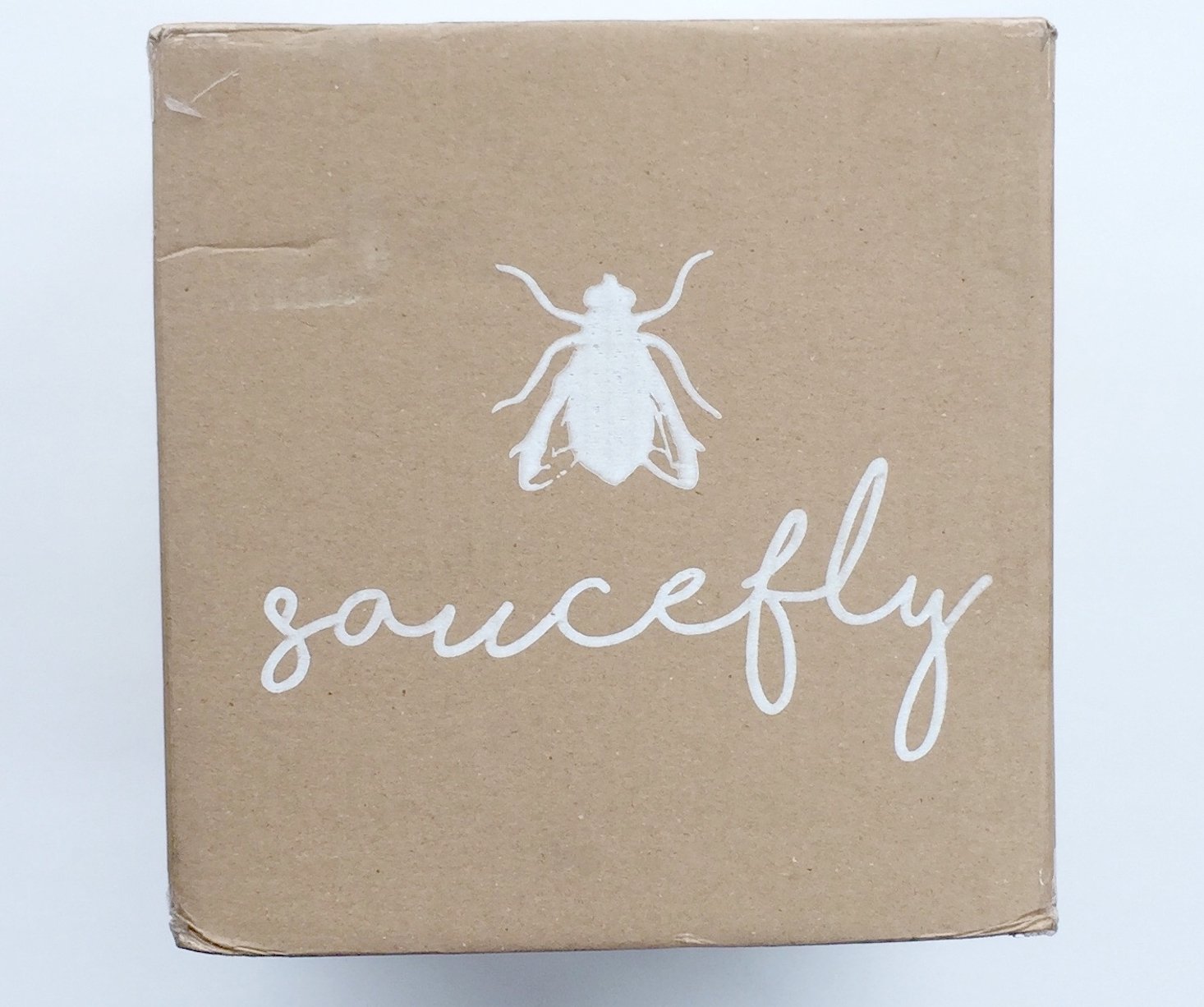 Saucefly Food Subscription Box Review + Coupon– December 2016