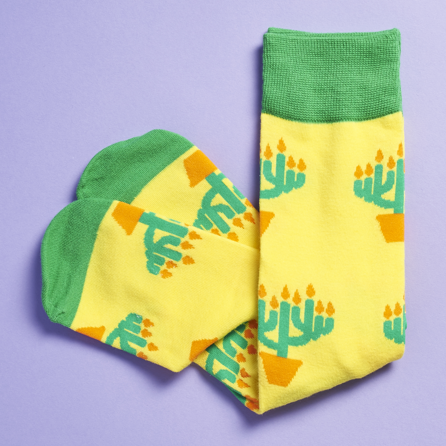 say-it-with-a-sock-december-2016-0008