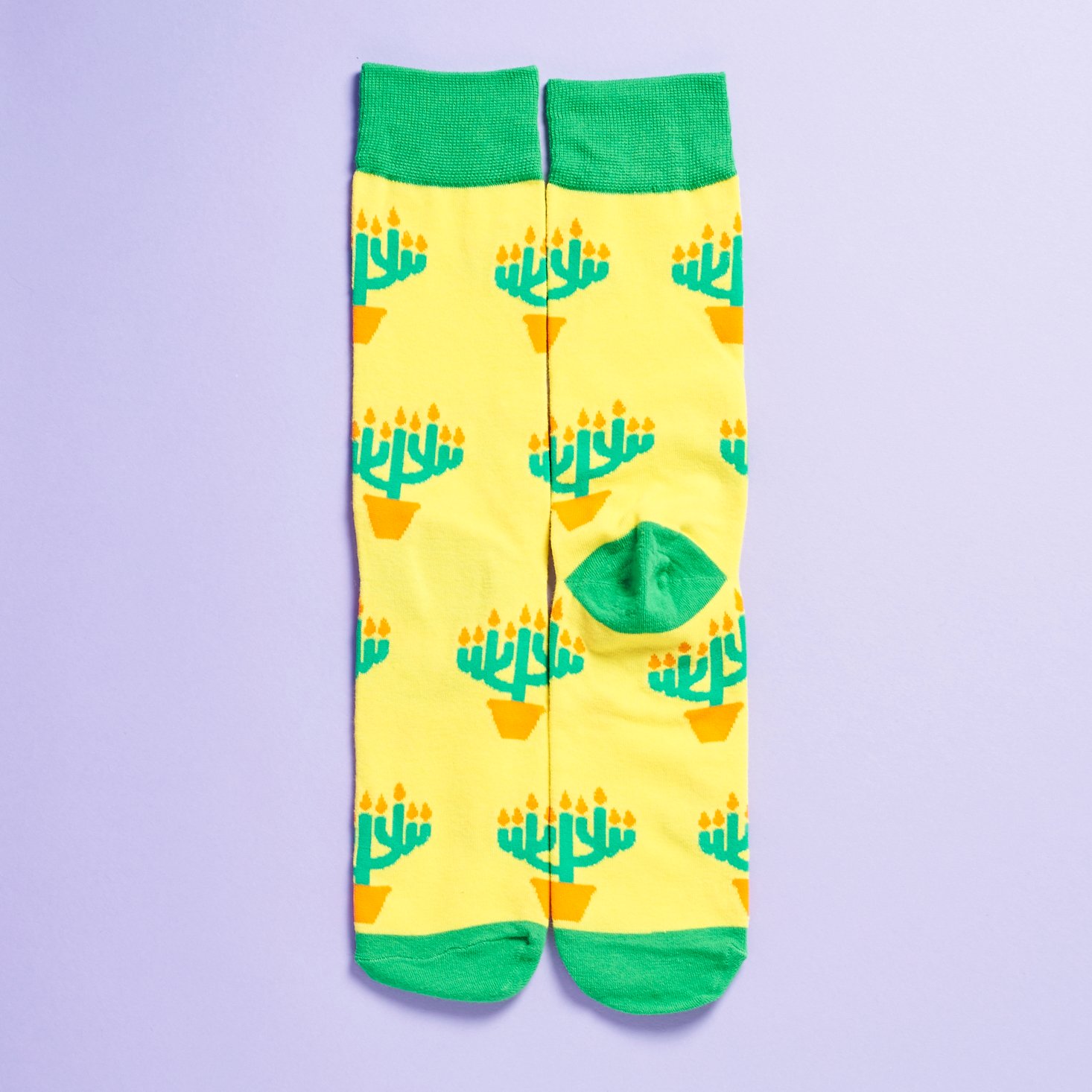 say-it-with-a-sock-december-2016-0009