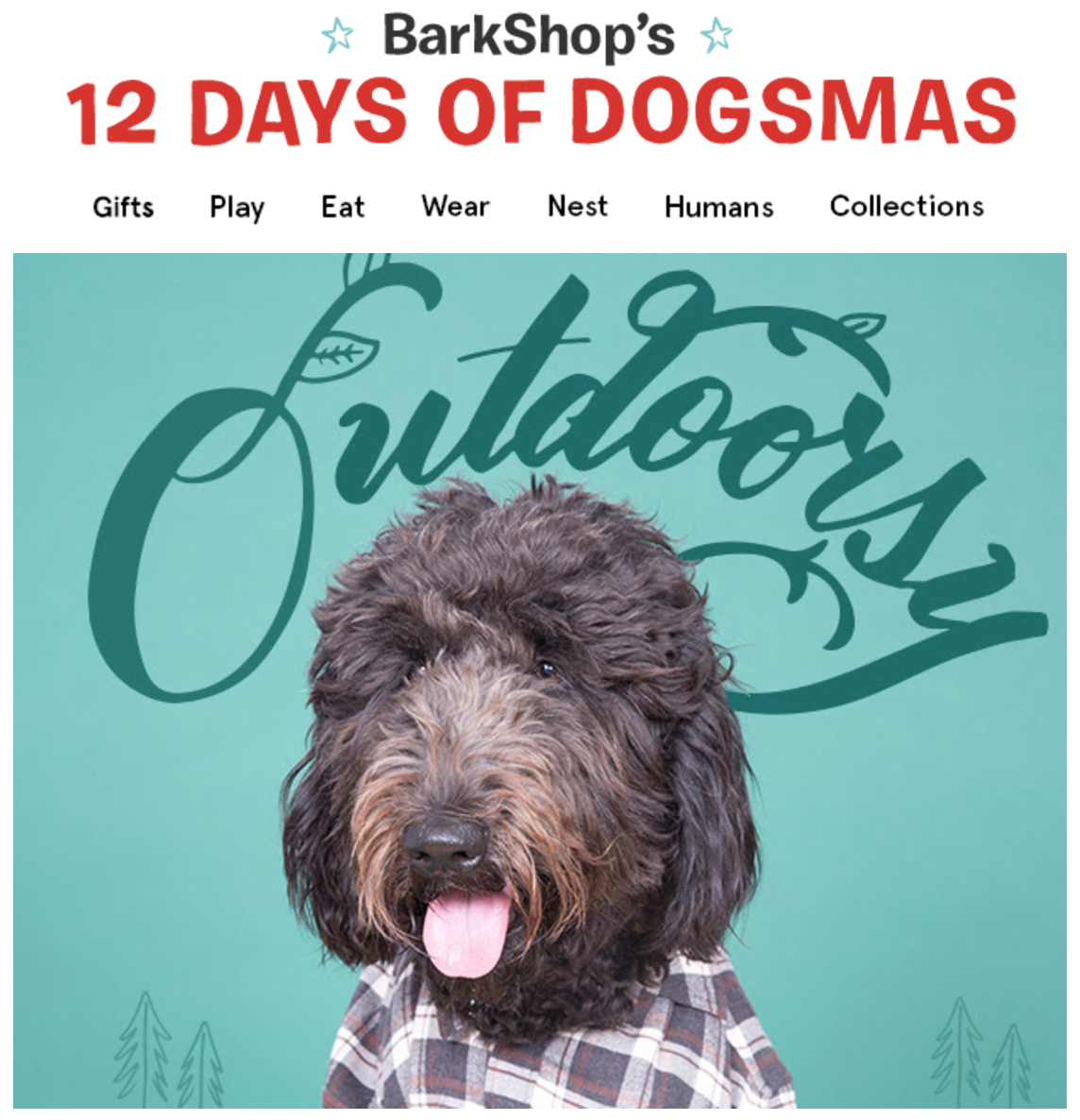 BarkBox 12 Days of Dogsmas – Free Quick Bath Wipes With Any Purchase