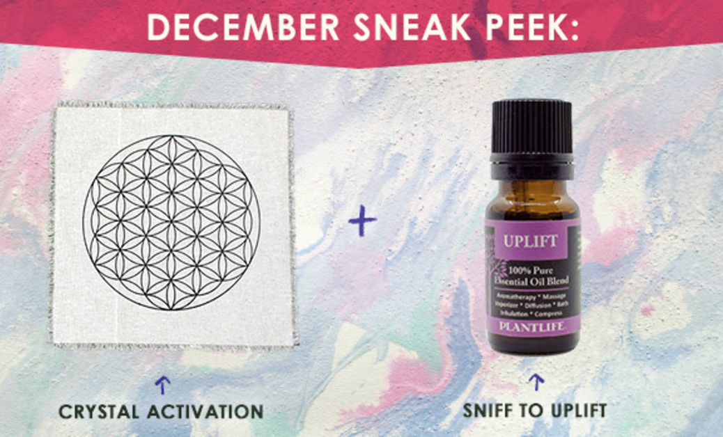 screen-shot-2016-12-02-at-2-08-56-pm