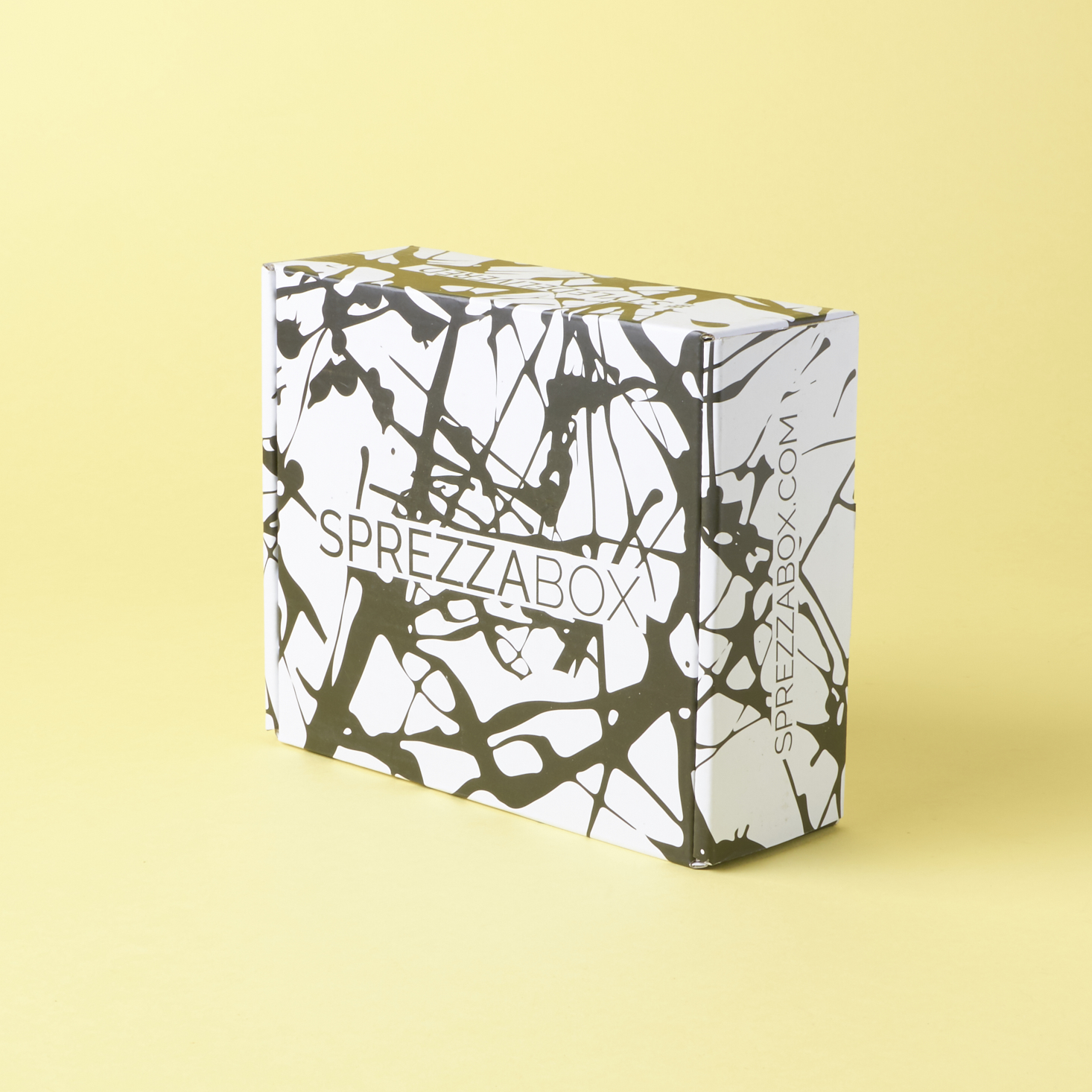 sprezzabox-december-2016-0001
