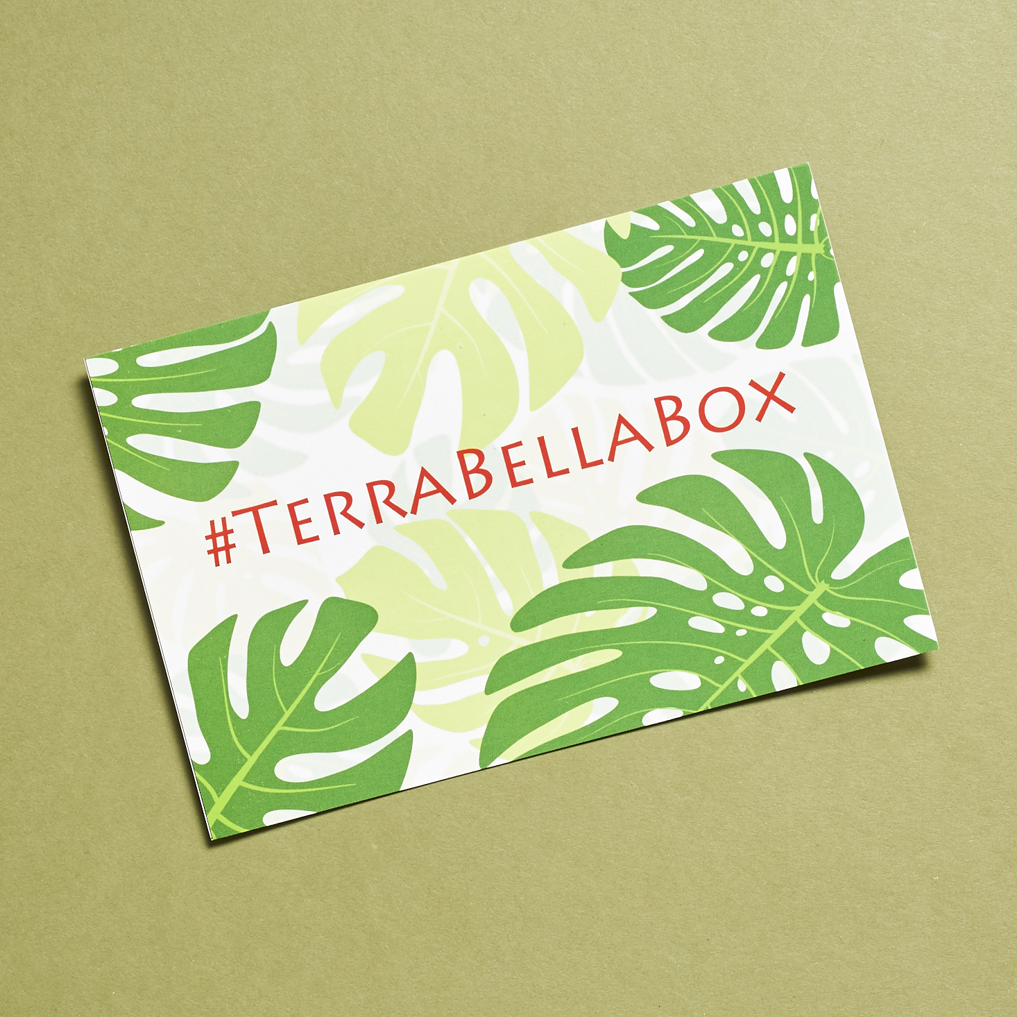 terra-bella-box-december-2016-0004