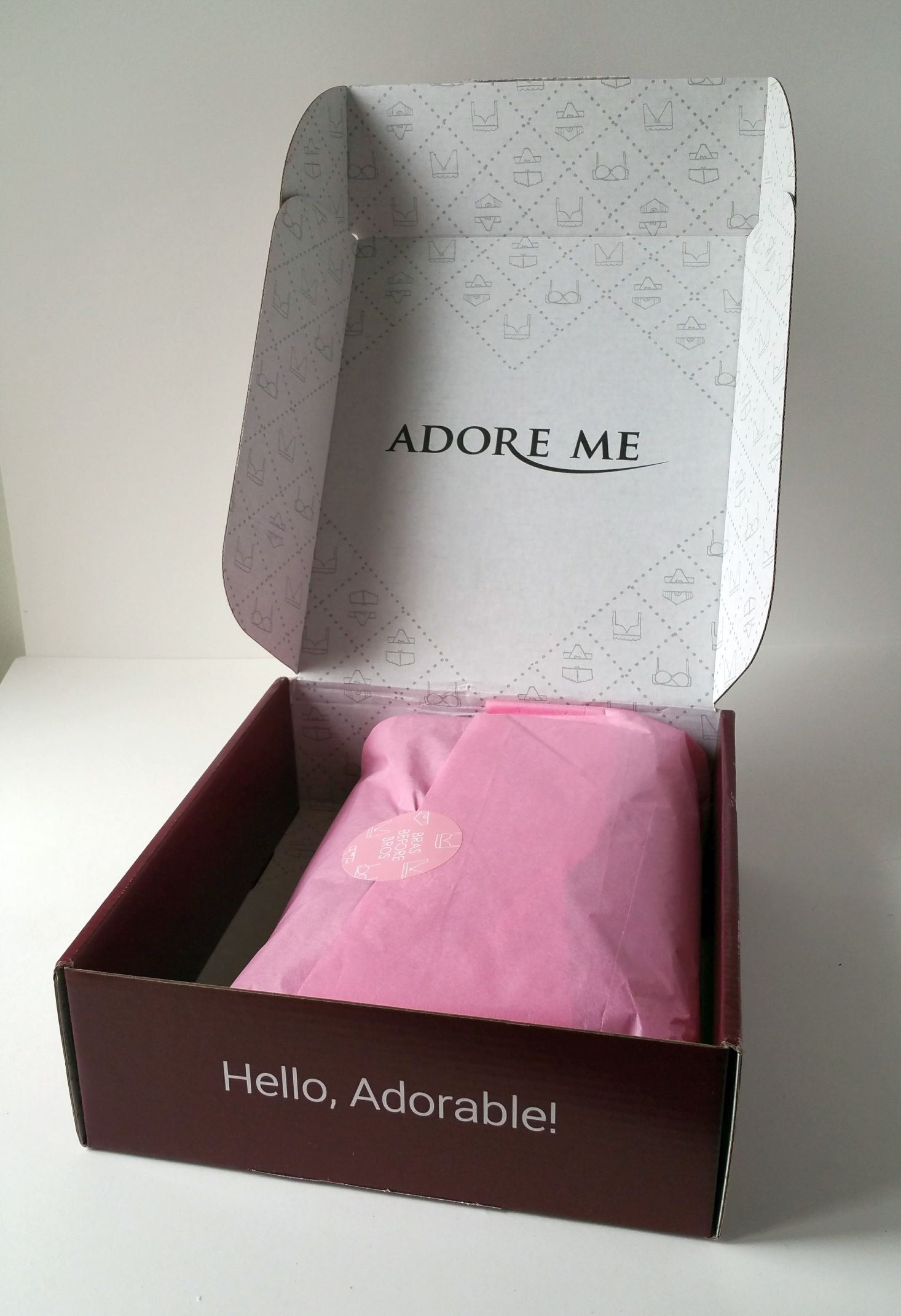 adore-me-december-2016-inside-box