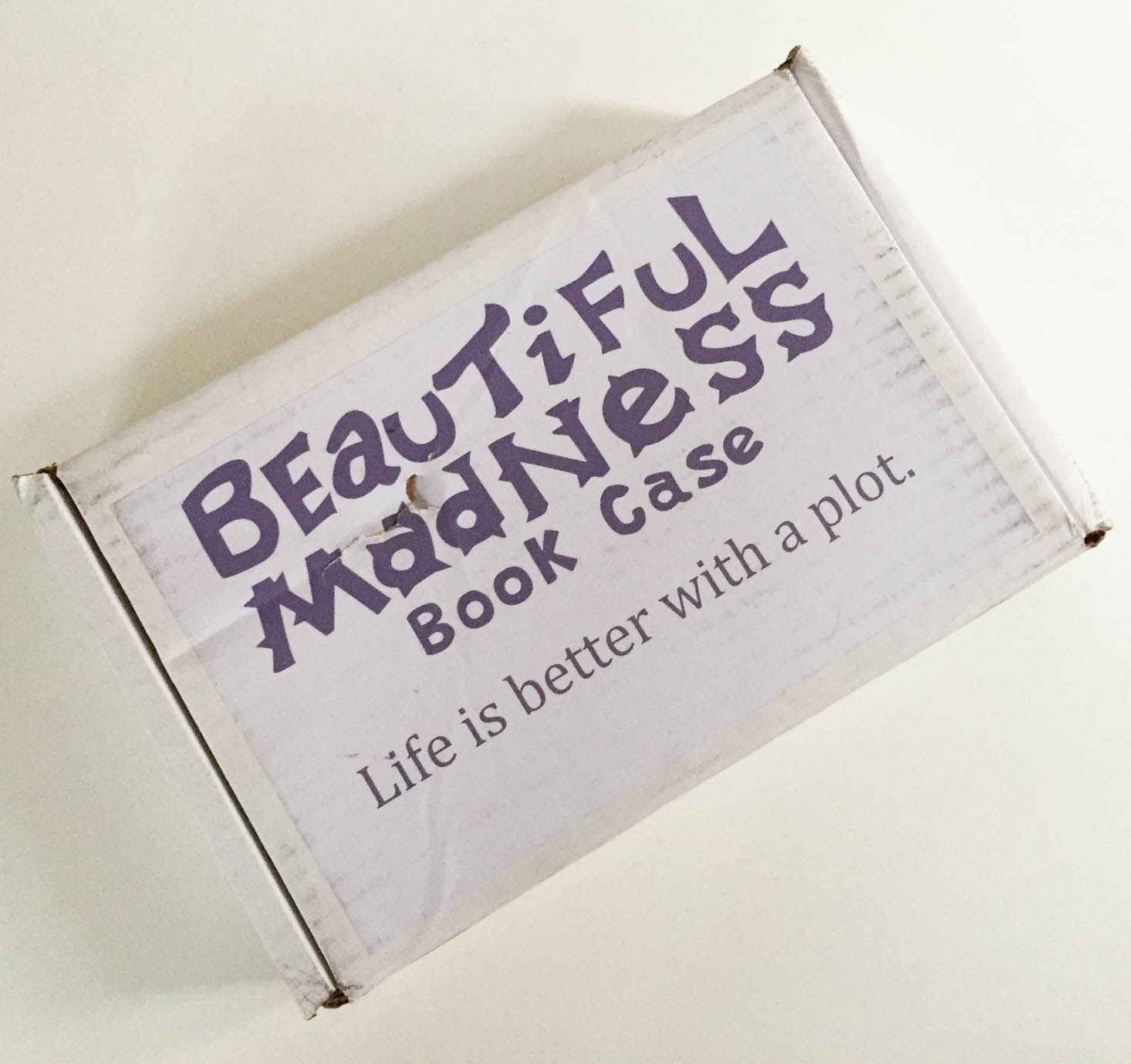 Beautiful Madness Book Case Review + Coupon- Chapter Six