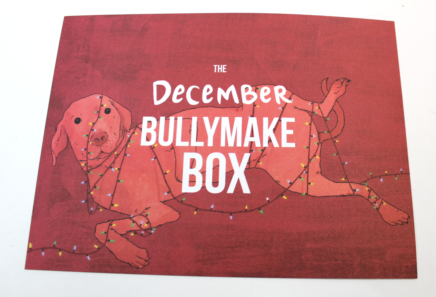 bullymake-box-december-2016-booklet-front