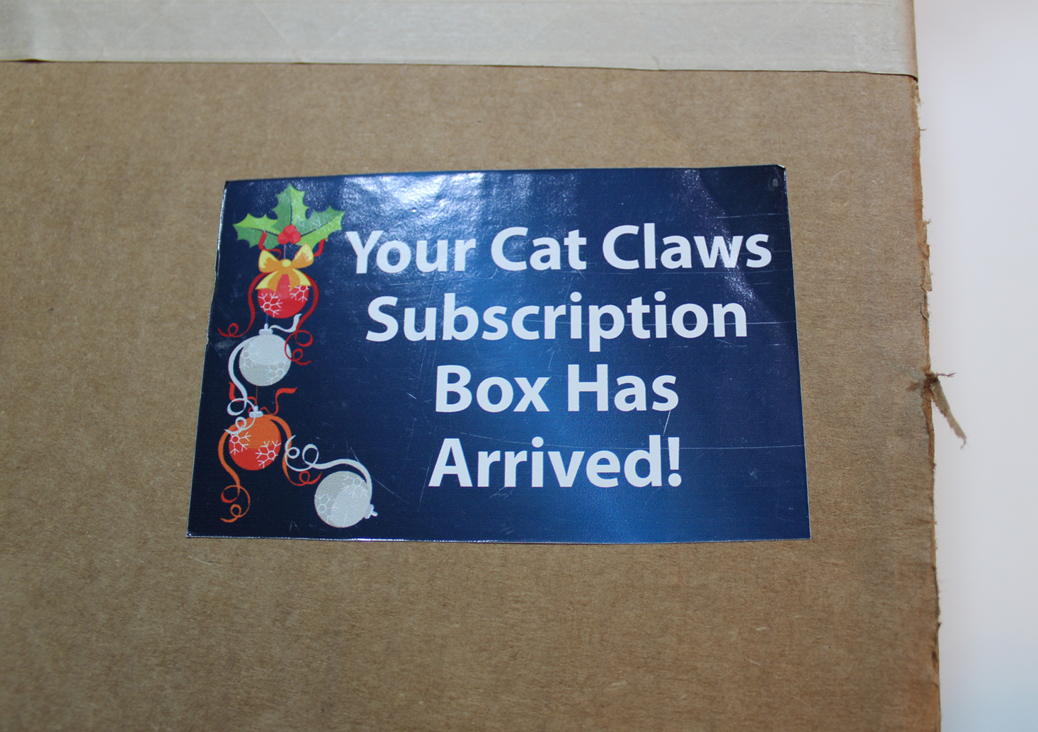 Cat Claws Club Subscription Box Review – December 2016